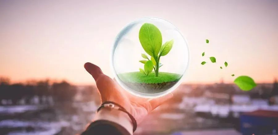 凱創感染類疾病診斷的三大利器:CRP、SAA和PCT