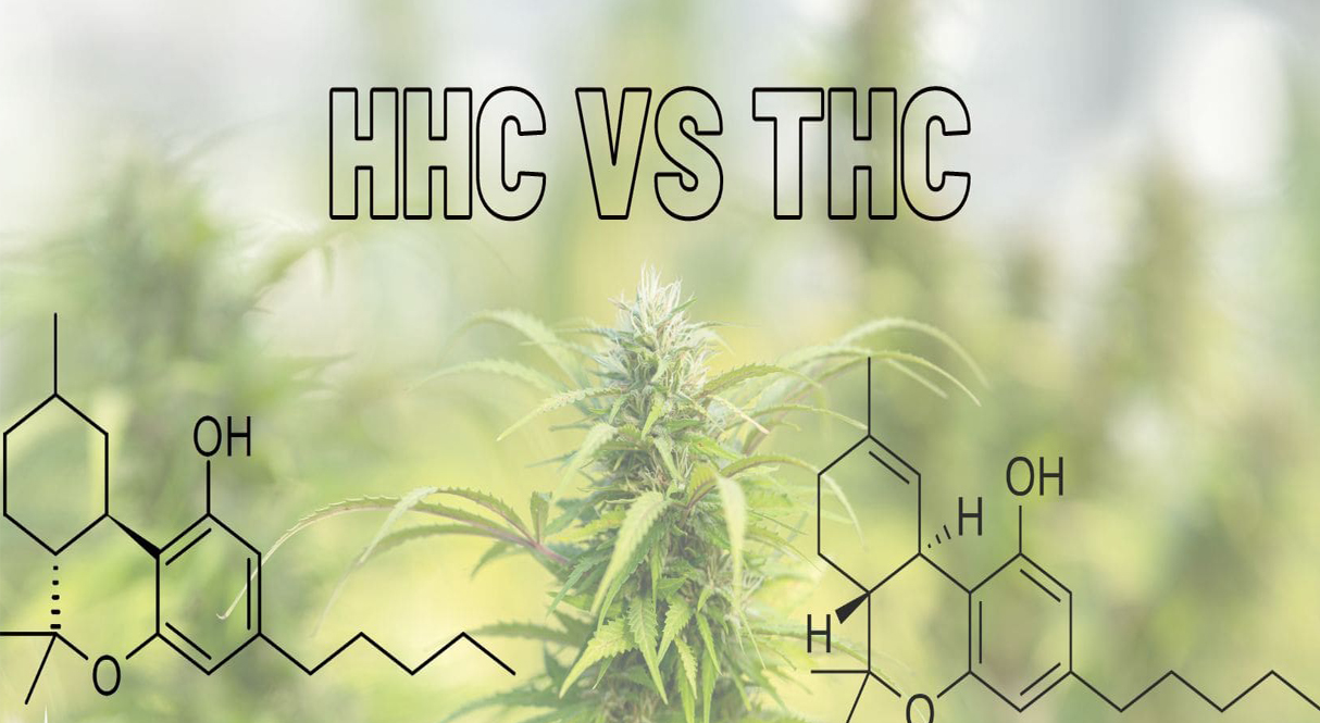 六氫大麻酚和半合成大麻素的關系